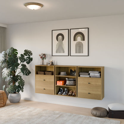 A modern living room features three Krovel Furniture Co. Maine Made Closet Drawers in premium cabinet plywood for shoes and clothes, décor items on top, a large plant, two abstract art pieces above, and light walls and floors.