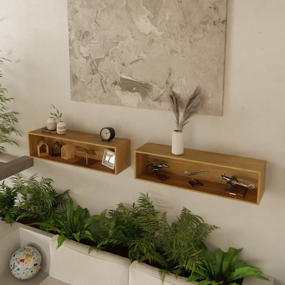 Two Krovel Hardwood Floating Display Cases showcase house-shaped decor, vases, a clock, and model airplanes above green plants and a white sofa, with large abstract artwork on the wall behind them.