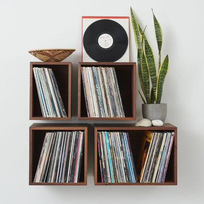 Four Krovel Hardwood Record Storage Shelves are mounted on a white wall for vinyl storage, with a woven bowl, framed record, and a potted snake plant with white stones arranged on top.